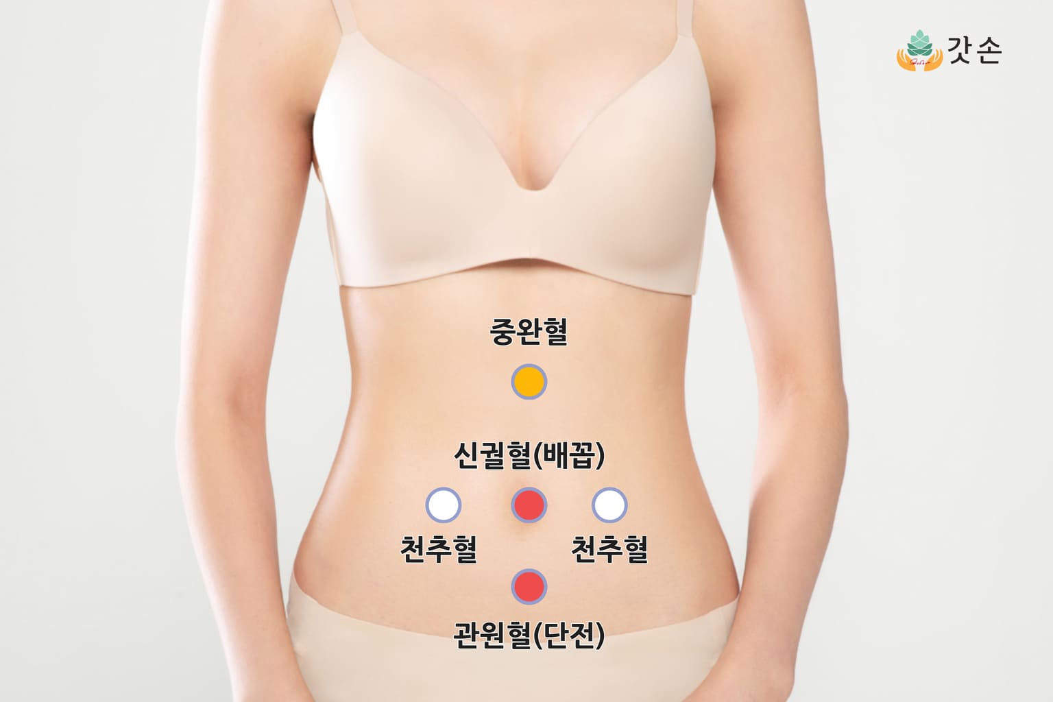 복부 냉증 자가 체크법을 위한 경혈점