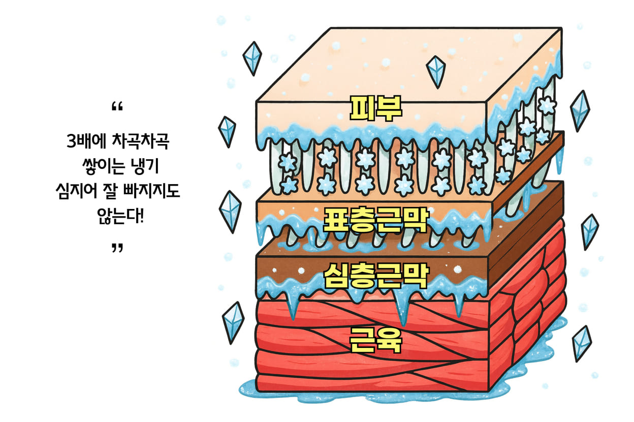 갓손 배마사지의 3배 시스템은 피부, 근막, 근육, 내부 장기에 이르는 층층이 쌓여 있는 뱃속의 레이어를 말한다. 뱃속에 들어온 냉기는 각각의 층에 차곡차곡 쌓인다. 이렇게 쌓인 냉기는 심지어 잘 배출도 안된다는 사실.